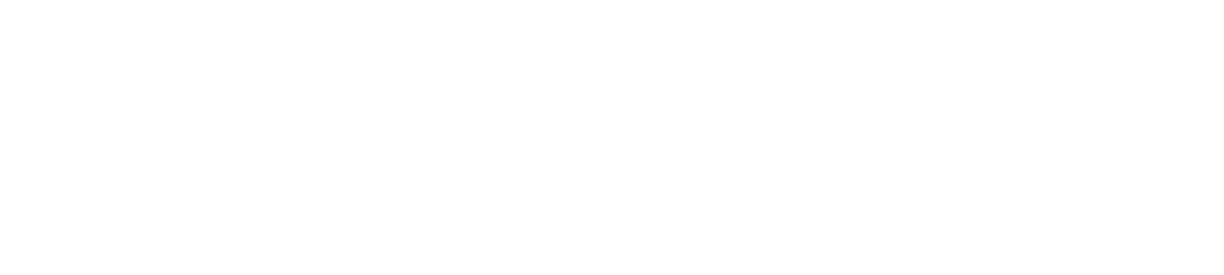 Нове життя — міжнародна місія